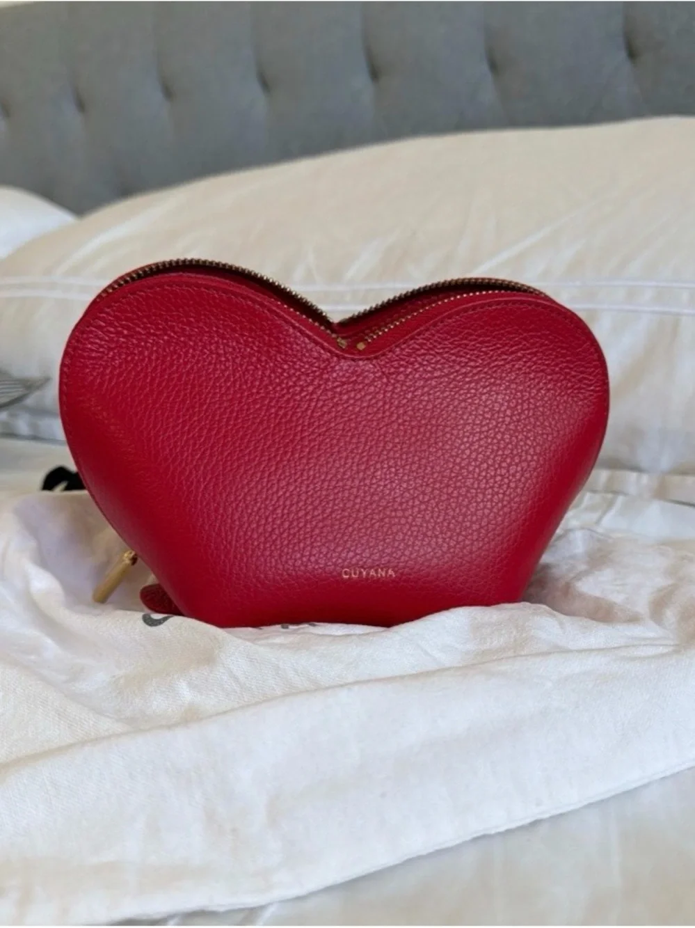 Cuyana Mini Heart Case